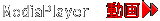 �E�B���h�E�Y���f�B�A�v���[���[�Ńt�F���[���e�X�^���b�T�̓��������